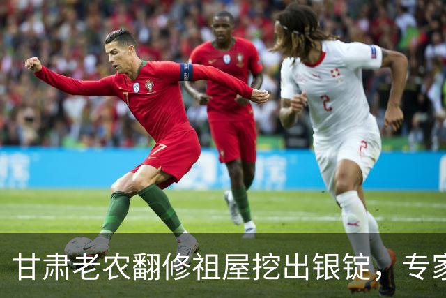 甘肃老农翻修祖屋挖出银锭，专家让上交，他一席话让众人哑然！